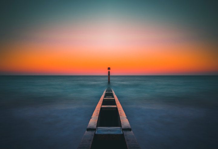 Evolve Using Your Free&nbsp;Will